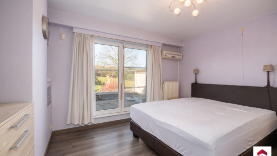 Wilgendaal - 41 - - 1731