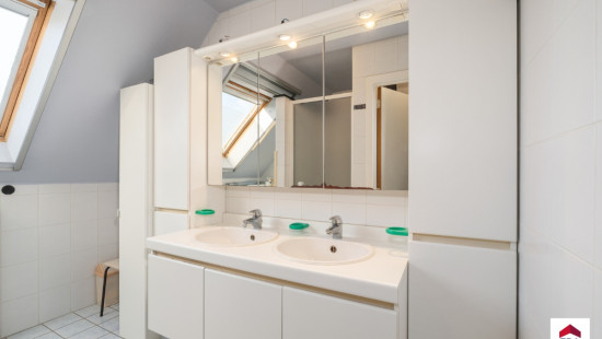 Wilgendaal - 41 - - 1731