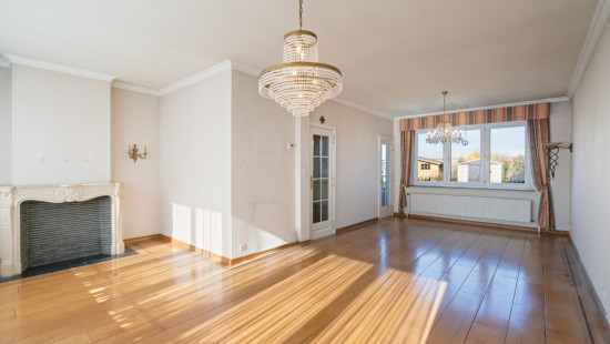 Berkenlaan - 89 - - 1850