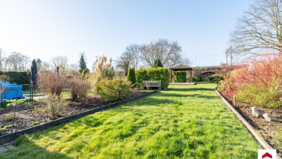 Wilgendaal - 41 - - 1731