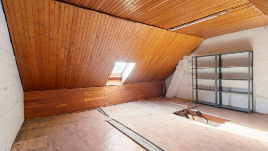 Berkenlaan - 89 - - 1850