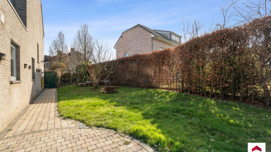 Spildoorn - 7 - - 1731