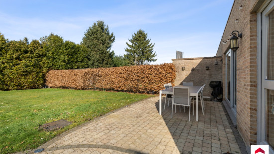 Spildoorn - 7 - - 1731