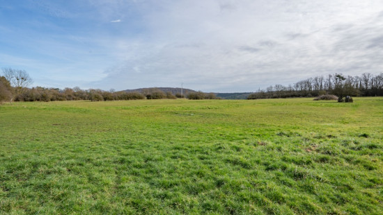 Ave et auffe - 40 - - 5580