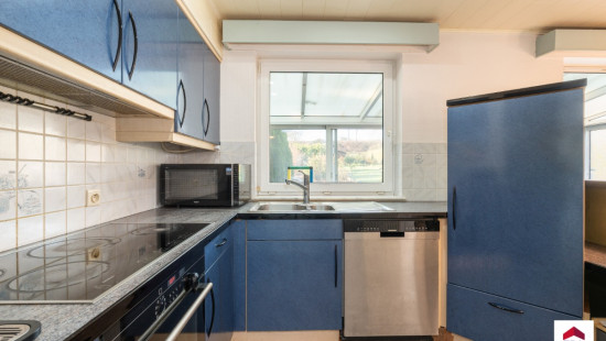 Wilgendaal - 41 - - 1731