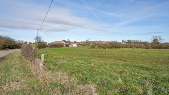 Ave et auffe - 40 - - 5580