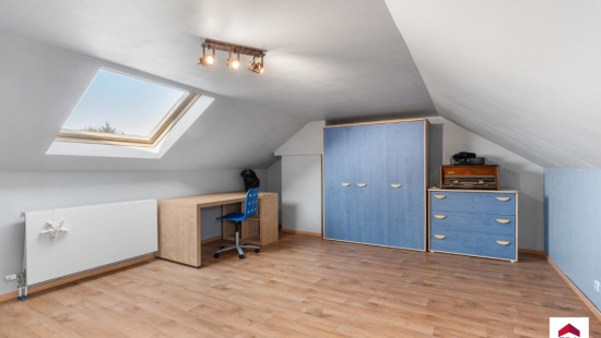 Spildoorn - 7 - - 1731