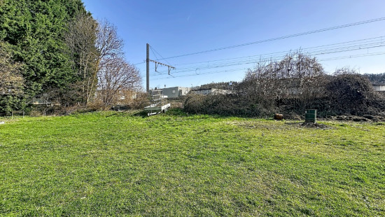 Rue des Sucreries - 13 - - 4520