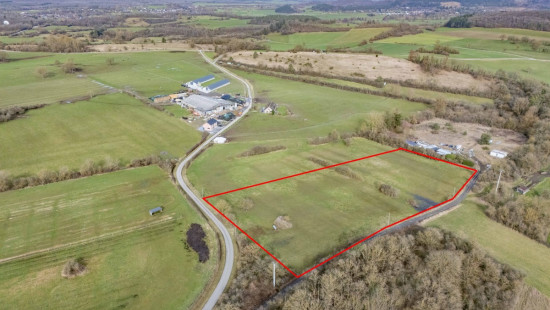 Ave et auffe - 40 - - 5580