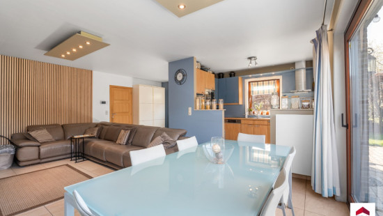 Spildoorn - 7 - - 1731