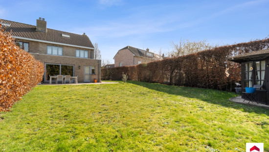 Spildoorn - 7 - - 1731