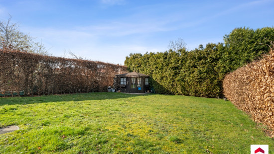 Spildoorn - 7 - - 1731