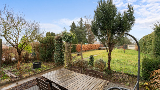 Molenstraat - 54 - - 3078