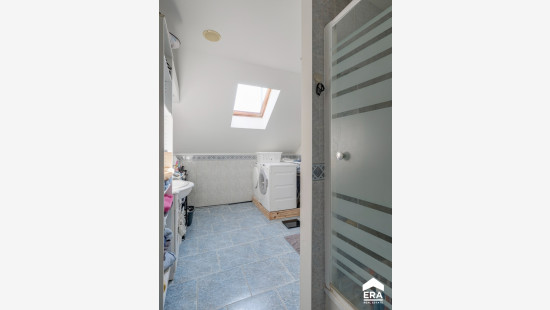 Zwanenstraat - 1 - - 3520