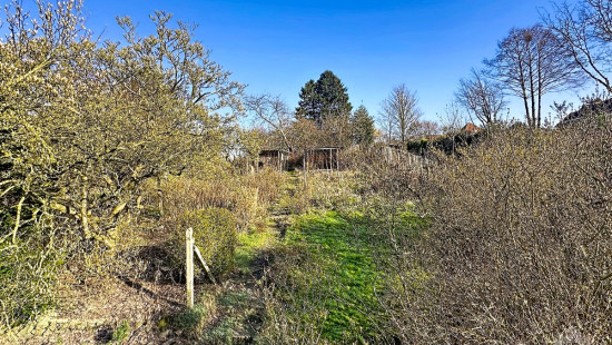 Rue Grange des Champs - 25 - - 1420