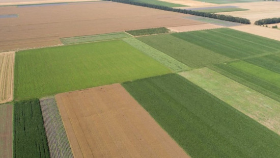 Vaartstraat - 55 - - 8630