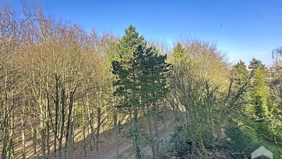 Avenue Franklin Roosevelt - 117 - 7 - 1000