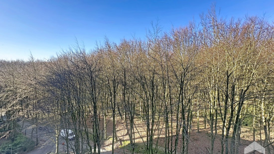 Avenue Franklin Roosevelt - 117 - 7 - 1000