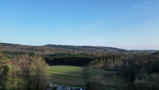 Le Concy - 1 - - 6987