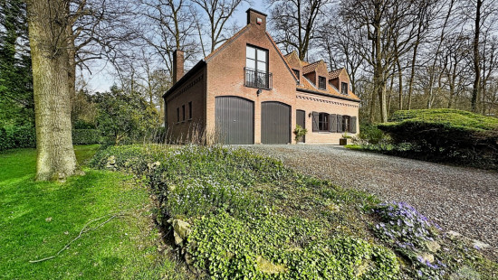 Dréve de la Tourterelle - 6 - - 1430