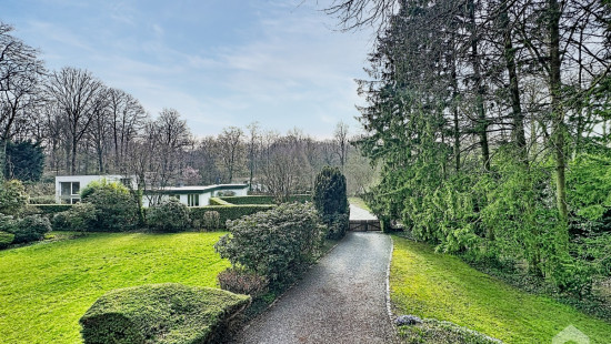 Dréve de la Tourterelle - 6 - - 1430