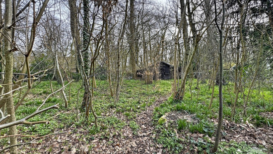 Dréve de la Tourterelle - 6 - - 1430