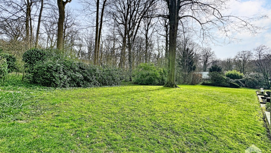 Dréve de la Tourterelle - 6 - - 1430