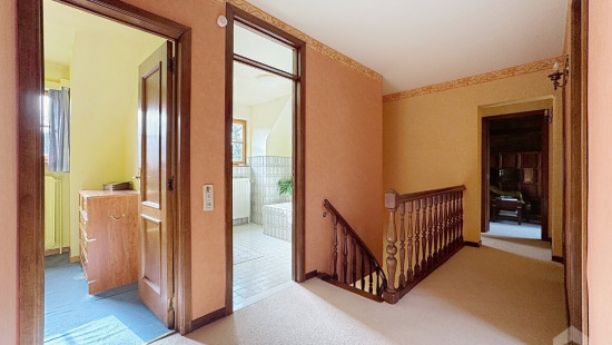 Dréve de la Tourterelle - 6 - - 1430