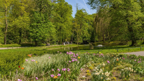 Rue Geefs - 31 - 0 - 1030