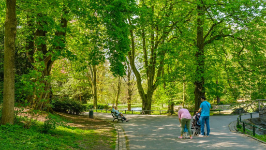 Rue Geefs - 31 - 0 - 1030