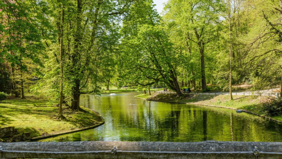 Rue Geefs - 31 - 0 - 1030