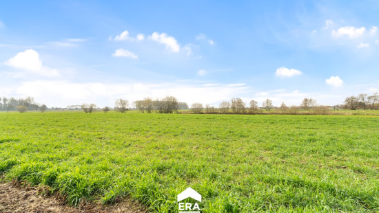 Molenstraat - 58-60 - - 9950