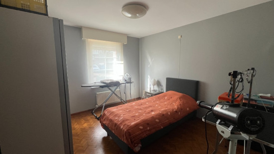 Solveld - 75 - - 3980