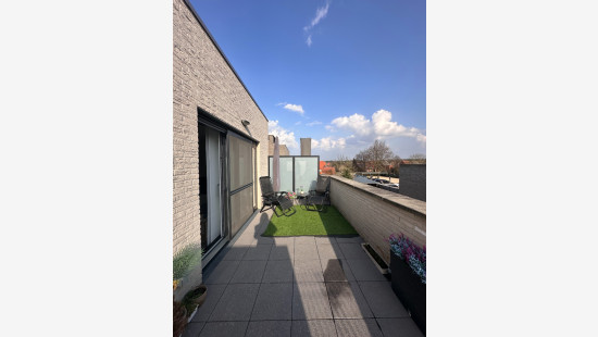 Achterbos - 64 - 202 - 2400