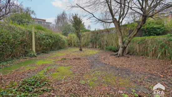 Rue Molensteen - 54 - - 1180