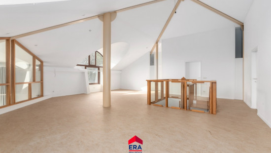 Kattenberg - 41 - - 2480