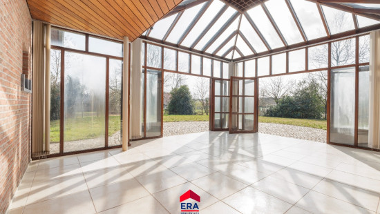 Kattenberg - 41 - - 2480