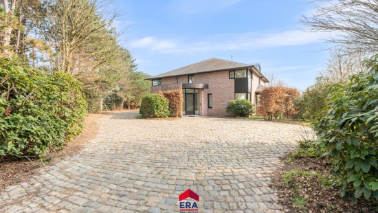 Kattenberg - 41 - - 2480