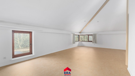 Kattenberg - 41 - - 2480