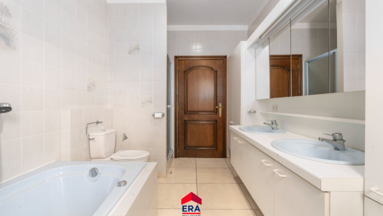 Kattenberg - 41 - - 2480