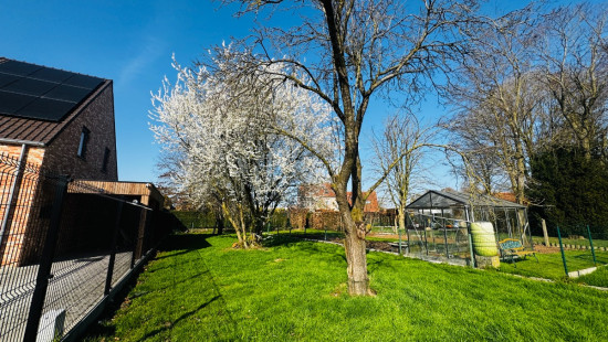 Papestraat - 56 - - 8880