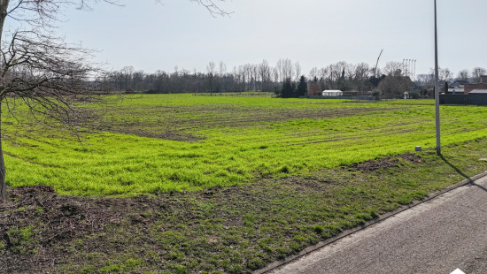 Mangelbeekstraat - 24 - - 3560