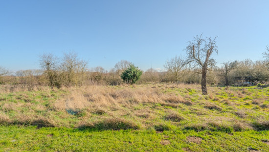 Rue de la Sarthe - 4 - - 4217