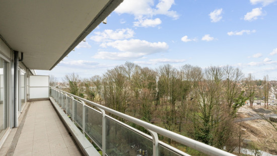 Turnhoutsebaan - 459 - D5 - 2140