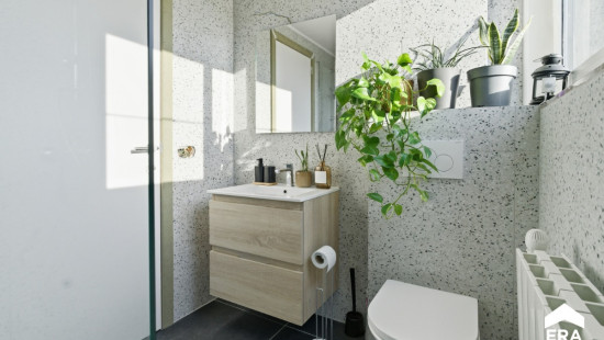 Professor Rubbrechtstraat - 55 - - 8972