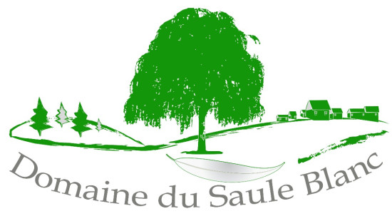 Rue de la Sarthe - 4 - s/ terrain - 4217