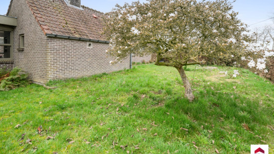 Haringgat - 10 - - 8340