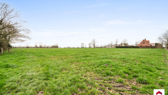 Haringgat - 10 - - 8340