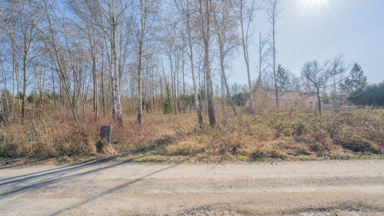 Allée des Sapins - 31G et 31D - - 5600