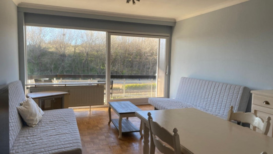 Ruzettelaan - 157 - 412 - 8370